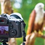 Lima Inspirasi Hobi Agar Anda Tetap Segar di Tengah Pandemi