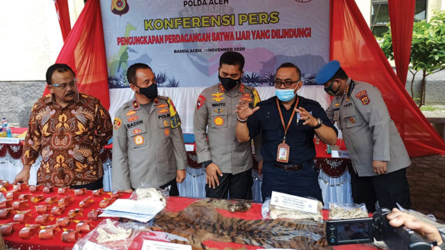 Tim Operasi Gabungan Aceh Sita Potongan Tubuh Satwa Liar Senilai Rp 6,3 Miliar