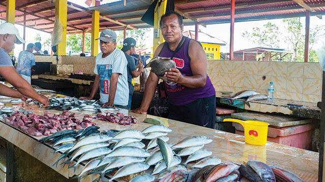 Implementasi SDGs tersendat anggaran.