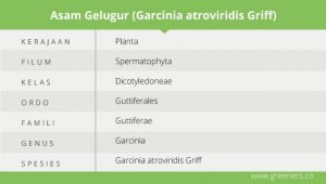 Tamanan Berkhasiat Kebanggaan Suku Melayu, Asam Gelugur
