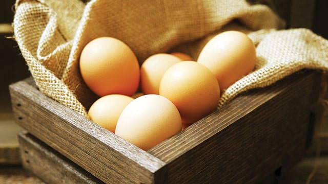 Healthy Eggs: Konsumsi Telur Enak dari Ayam Sehat dan Bahagia