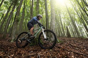 Green Cyclist Virtual Race