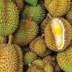durian