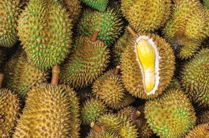 durian