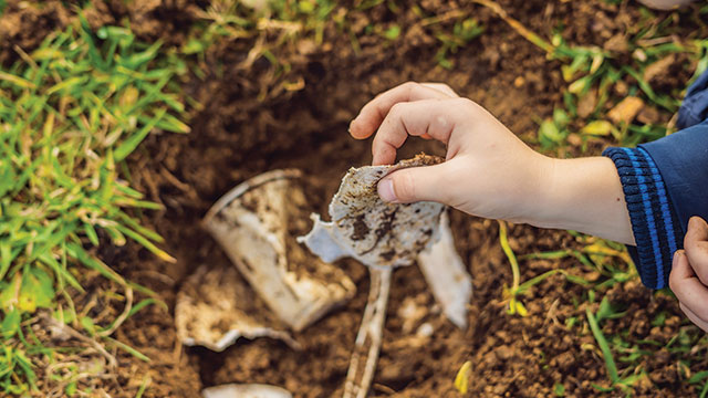 Perbedaan Biodegradable dan Compostable