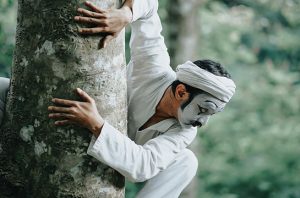 spesies liar wanggi hoed