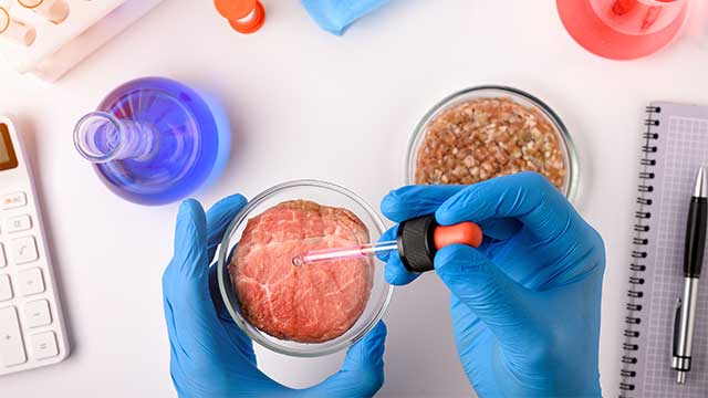 makanan manusia di masa depan