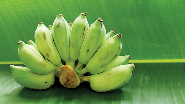 Pisang Papua