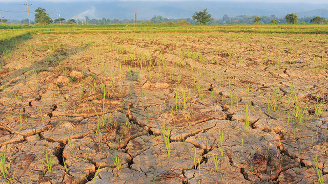 Ancaman krisis iklim