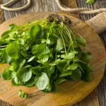 Selada air memiliki banyak manfaat kesehatan, termasuk mengurangi risiko kanker dan mendukung kesehatan tulang. Foto: Health.com