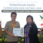 KLHK mengumumkan tiga spesies baru tumbuhan dan satwa liar di Indonesia. Foto: KSDA KLHK