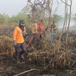 Bencana kekeringan di Jawa Barat. Foto: BPBD Jabar