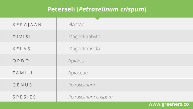 Taksonomi Perteseli. Foto: Greeners