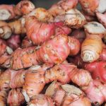 Lengkuas (Alpinia galanga). Foto: Shutterstock