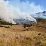 Kebakaran di gunung Bromo. Foto: Shutterstock