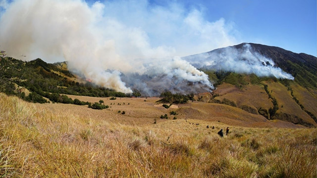 Kebakaran di gunung Bromo. Foto: Shutterstock
