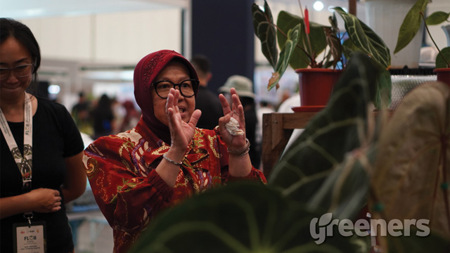 Menteri Sosial Tri Rismaharini menghadiri pameran tanaman hias FLOII. Foto: Stanly Pondaag