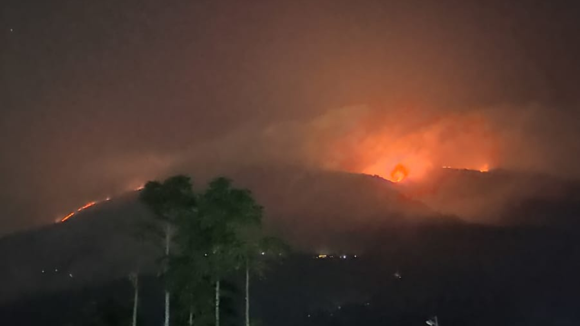 Kebakaran Gunung Merbabu. Foto: BNPB