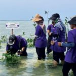 Sanofi dan LEVA menanam 1.000 bibit pohon mangrove di Pulau Pramuka, Kepulauan Seribu. Foto: Sanofi