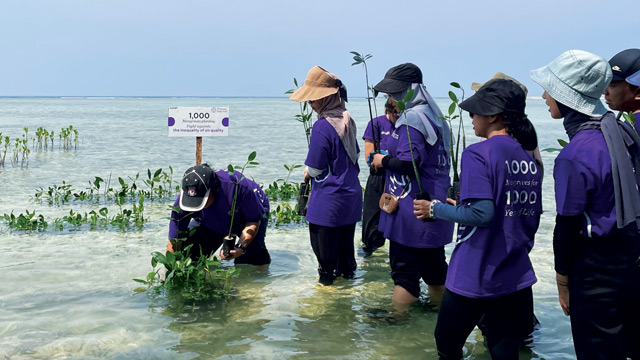 Sanofi dan LEVA menanam 1.000 bibit pohon mangrove di Pulau Pramuka, Kepulauan Seribu. Foto: Sanofi