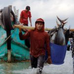 Nelayan skala kecil membawa hasil tangkapannya di Pancer, Banyuwangi. Foto: FAO/Harriansyah