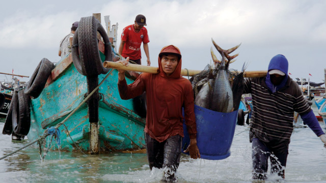 Nelayan skala kecil membawa hasil tangkapannya di Pancer, Banyuwangi. Foto: FAO/Harriansyah