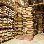 Bina Desa menilai bahwa impor beras 2023 merupakan bukti nyata kegagalan sistem pangan di Indonesia. Foto: Freepik