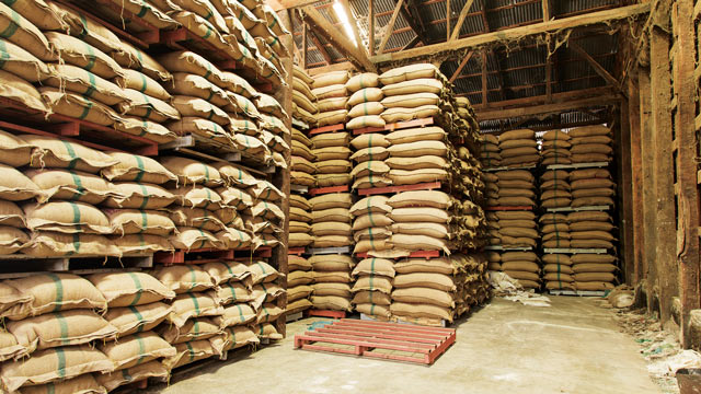 Bina Desa menilai bahwa impor beras 2023 merupakan bukti nyata kegagalan sistem pangan di Indonesia. Foto: Freepik