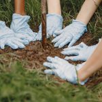 Ilustrasi penanaman pohon. Foto: Freepik