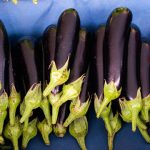 Buah terong (Solanum melongena). Foto: Freepik