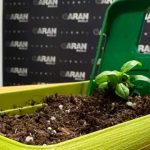 IGreen. Foto: Yanko Design