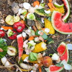 Ilustrasi sampah organik. Foto: Freepik