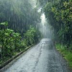 Ilustrasi musim hujan. Foto: Freepik