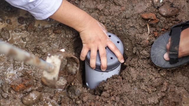 Ilustrasi biopori. Foto: Shutterstock