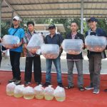 Budi daya ikan hias dan pakan alami maggot menjadi kegiatan unggulan dalam Smart Fisheries Village (SFV). Foto: KKP