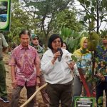 KLHK tanam pohon serentak di seluruh wilayah Indonesia. Foto: KLHK