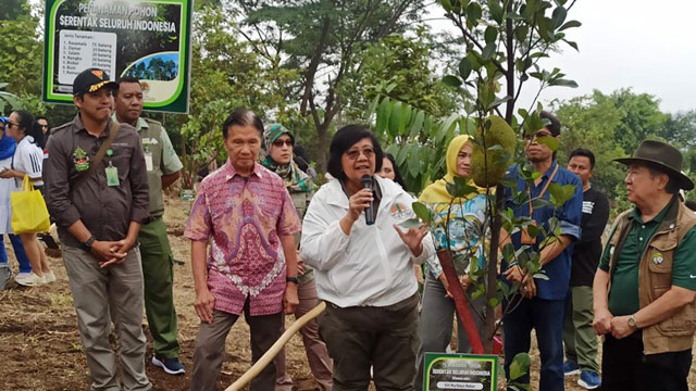 KLHK tanam pohon serentak di seluruh wilayah Indonesia. Foto: KLHK