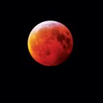 Wolf Moon. Foto: Shutterstock