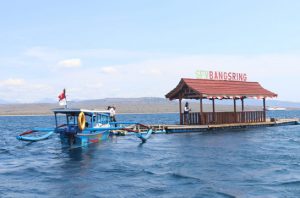 KKP mengembangkan Smart Fisheries Village (SFV) menjadi pusat eduminawisata. Foto: KKP