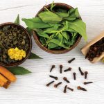 Ilustrasi obat herbal. Foto: Freepik