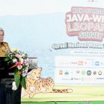 KLHK akan memulai survei spesies macan tutul jawa. Foto: KLHK