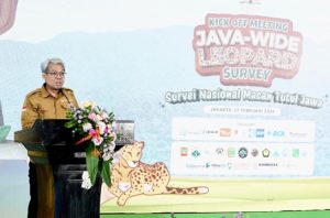 KLHK akan memulai survei spesies macan tutul jawa. Foto: KLHK