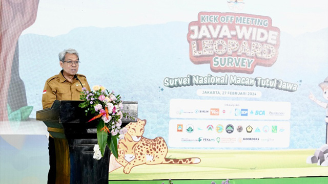 KLHK akan memulai survei spesies macan tutul jawa. Foto: KLHK