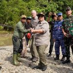 Pelepasliaran harimau sumatra. Foto: KLHK