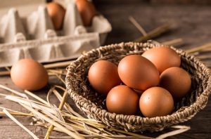 Ilustrasi telur ayam. Foto: Freepik