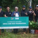 Orica bekerja sama dengan BOS Foundation untuk melindungi orang utan. Foto: Orica