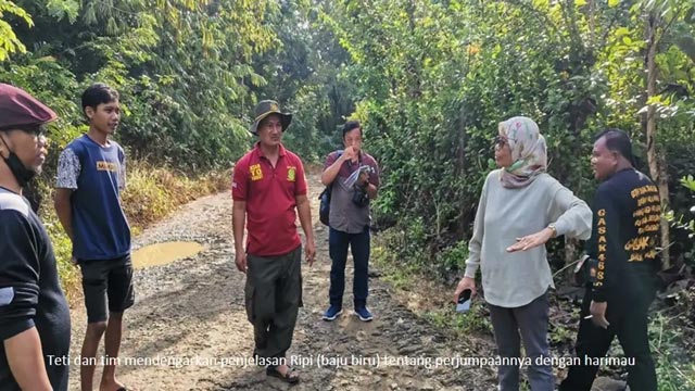 BRIN mengungkapkan adanya temuan sehelai rambut harimau jawa. Foto: BRIN