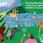 World Wildlife Day menyoroti pentingnya mengeksplorasi inovasi digital dalam upaya konservasi satwa liar. Foto: United Nations