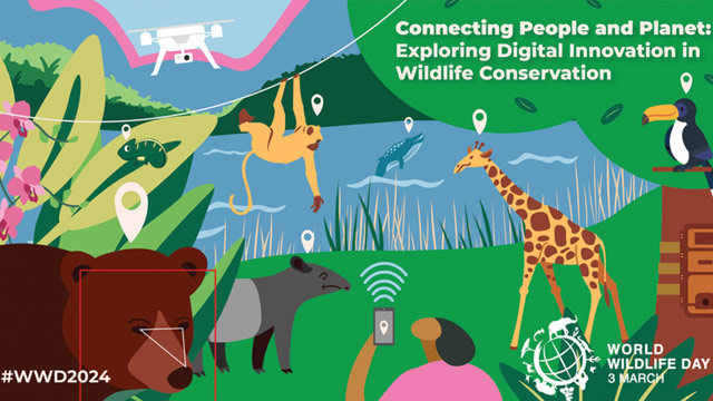 World Wildlife Day menyoroti pentingnya mengeksplorasi inovasi digital dalam upaya konservasi satwa liar. Foto: United Nations