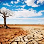 Ilustrasi puncak musim kemarau. Foto: Freepik